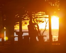 IMG_5747 12/10/2019 - Jo en contrejour en plein coucher de soleil. Every night is a different story - motlen metal often comes to mind!